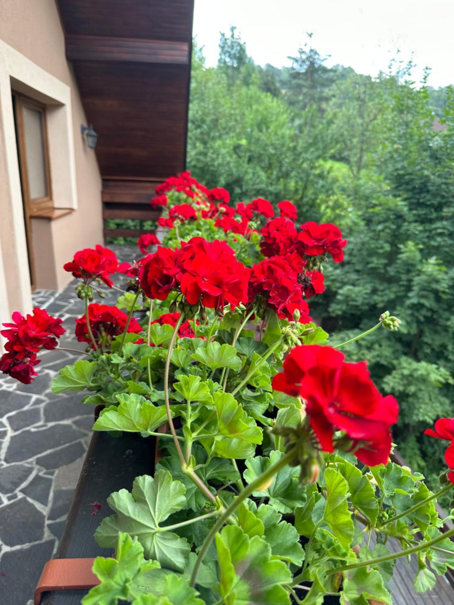 Holiday Home Skalka Mýto pod Ďumbierom Kültér fotó